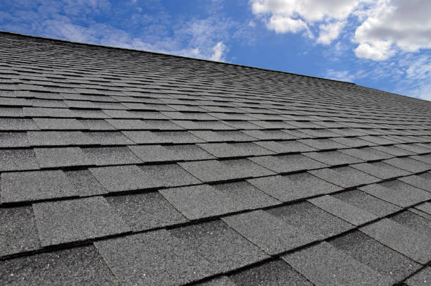 Best Gutter Installation and Repair  in Silver Ridge, NJ