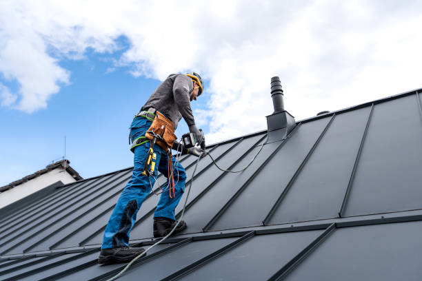 Best Solar Panel Roofing Installation  in Silver Ridge, NJ